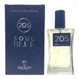 EAU DE COLOGNE SOUL BLUE  HOMME 100ML LOT DE 1