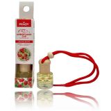 AMBIANCE VOITURE FRUITS ROUGESPRADY 6ML LOT DE 1