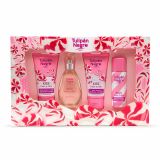 COFFRET CADEAU FRAISE CHANTILLY  LOT DE 1