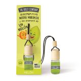 PARFUM DE VOITURE TFC MELON LOT DE 1