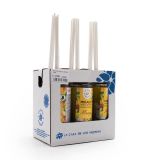 RECHARGE MIKADO MANGUE 100ML LOT DE 1